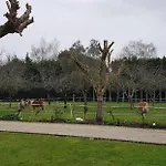 Le Cabassou Du Medoc Gæstehus