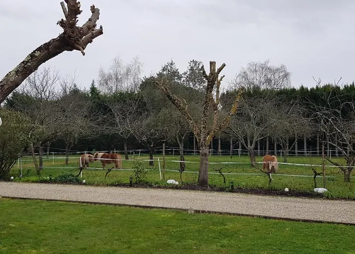 Le Cabassou Du Medoc Vendégház